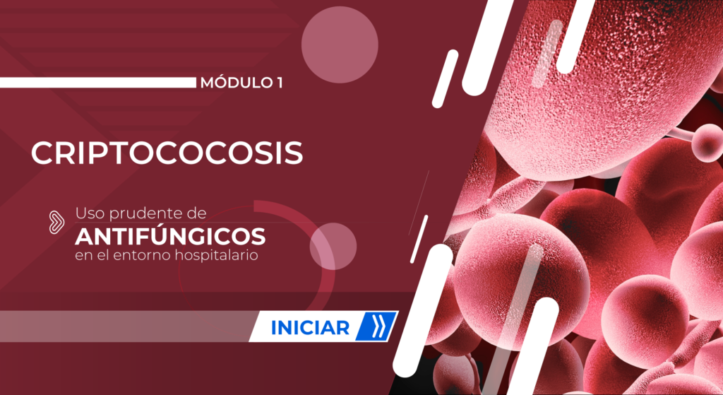 Prudent Use of Antifungals in Hospital Settings