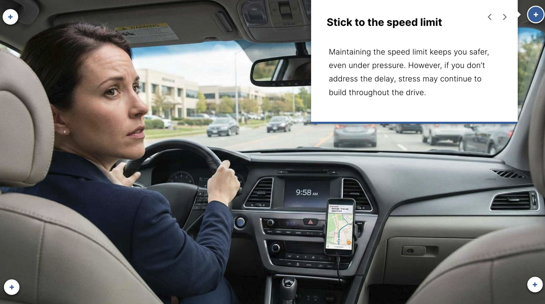 Safe Driving Microlearning